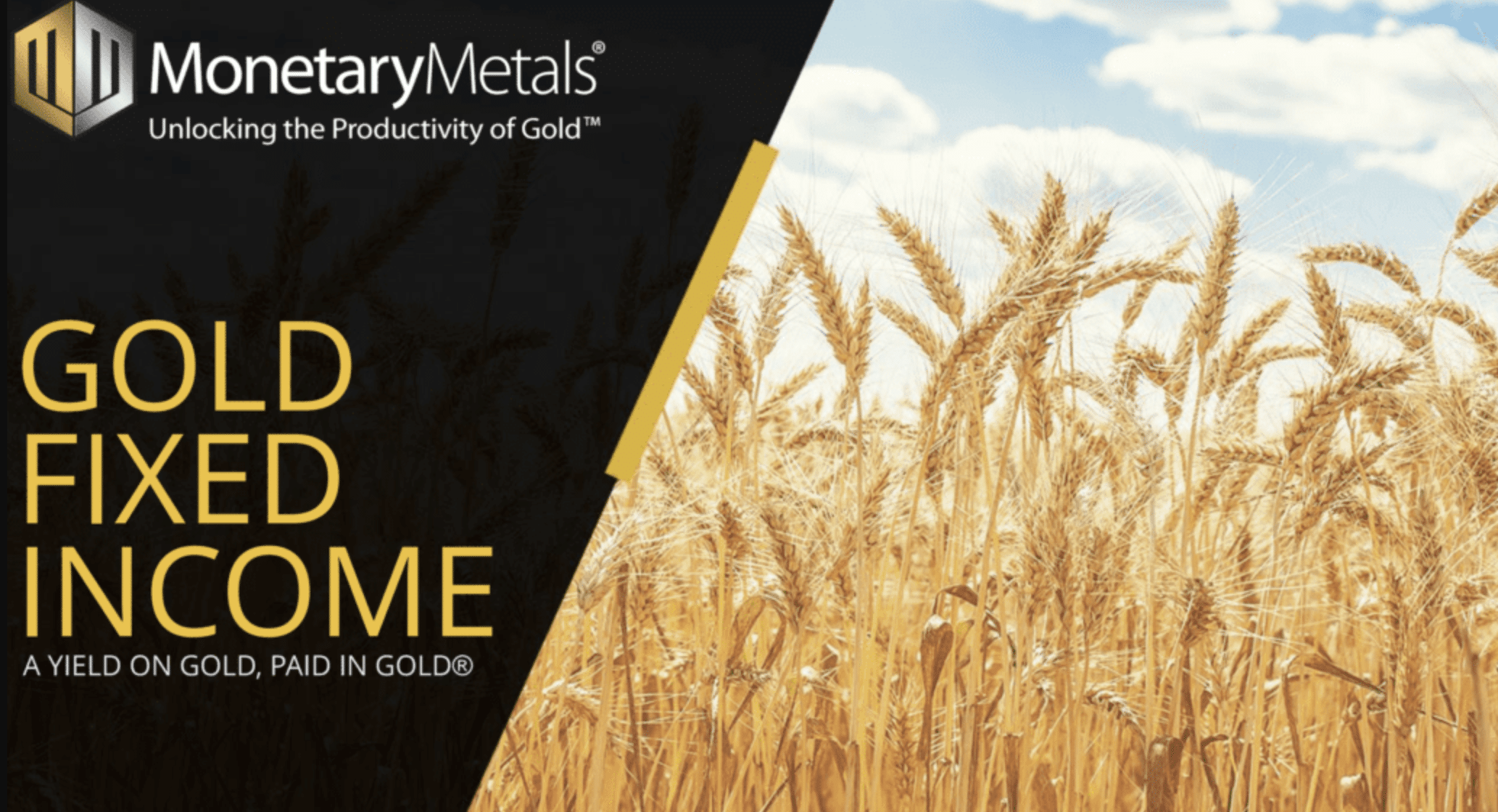 Monetary Metals Gold Lease